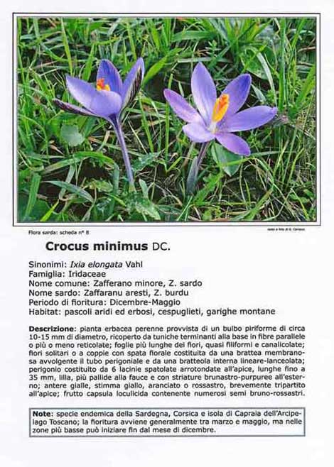 Scheda didattica con immagine fotografica orizzontale Scheda didattica con immagine fotografica orizzontale
