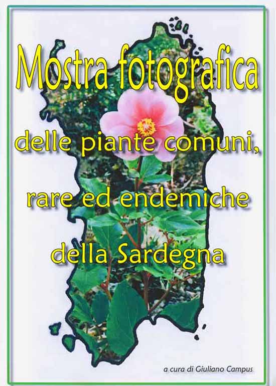 Mostra Flora Sardegna Mostra Flora Sardegna