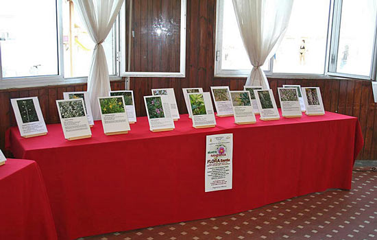 Mostra Fotografica Flora di Sadegna 2006 Mostra Fotografica Flora di Sadegna 2006