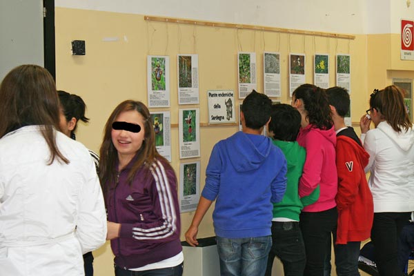 Quartu Sant'Elena (CA) - Scuola media Rosas (aprile 2013) Quartu Sant'Elena (CA) - Scuola media Rosas (aprile 2013)