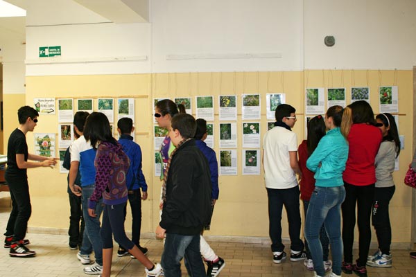 Quartu Sant'Elena (CA) - Scuola media Rosas (aprile 2013) Quartu Sant'Elena (CA) - Scuola media Rosas (aprile 2013)