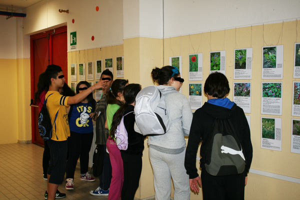 Quartu Sant'Elena (CA) - Scuola media Rosas (aprile 2013) Quartu Sant'Elena (CA) - Scuola media Rosas (aprile 2013)
