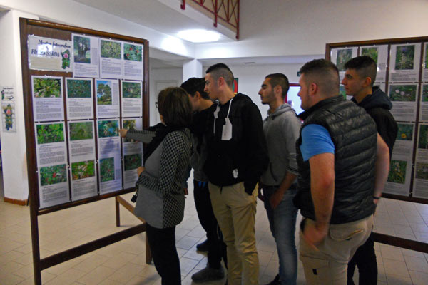 Elmas (CA) - Istituto Agrario Duca degli Abruzzi (dicembre 2016) Elmas (CA) - Istituto Agrario Duca degli Abruzzi (dicembre 2016)
