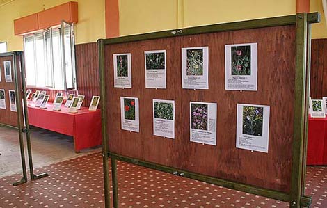 Mostra Fotografica Flora di Sadegna 2006 Mostra Fotografica Flora di Sadegna 2006