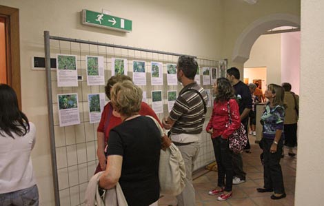 Mostra Fotografica Flora di Sadegna 2009