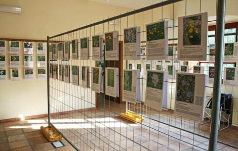 Mostra Fotografica Flora di Sadegna 2009 Mostra Fotografica Flora di Sadegna 2009