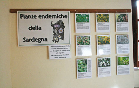 Mostra Fotografica Flora di Sadegna 2009 Mostra Fotografica Flora di Sadegna 2009