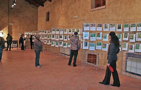 Quartucciu (CA) - Ex Casa Angioni, Mostra fotografica (novembre 2007) Quartucciu (CA) - Ex Casa Angioni, Mostra fotografica (novembre 2007)