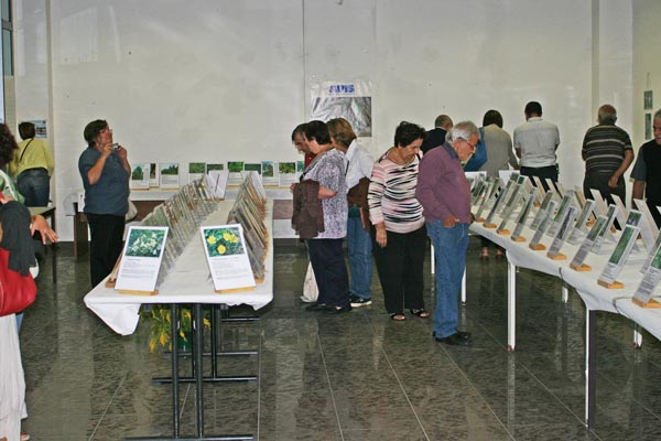 Sinnai (CA) - Mostra fotografica flora (settembre 2013) Sinnai (CA) - Mostra fotografica flora (settembre 2013)