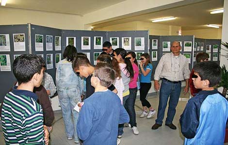 Monserrato (CA) - Mostra fotografica flora (maggio 2008) Monserrato (CA) - Mostra fotografica flora (maggio 2008)