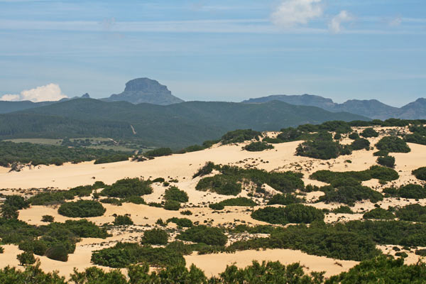 Arbus (VS), dune di Piscinas e in lontananza il Monte Arcuentu  