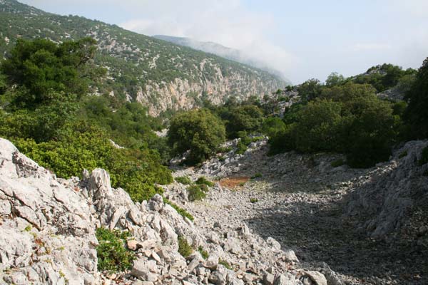 Baunei (OG), sentiero verso Cala GoloritzÃ© 