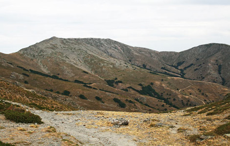 Punta La Marmora (NU), Perda Crapias 1834 m, 