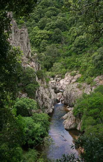 Foresta demaniale Sette Fratelli (CA), Rio Maidopis 